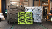 mold 13